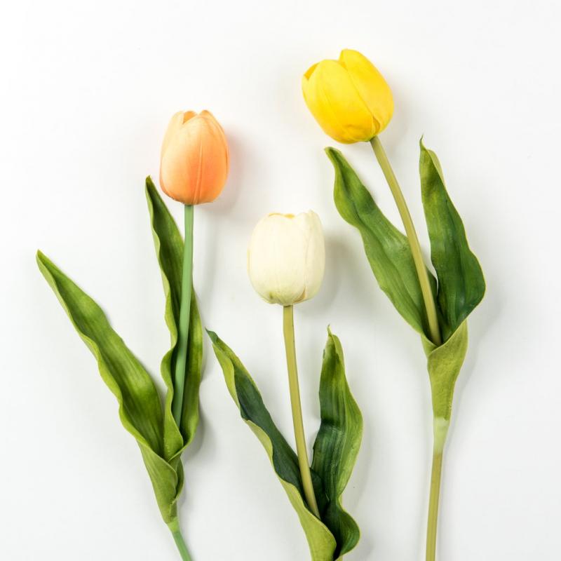 Most Beautiful Flowers in the World